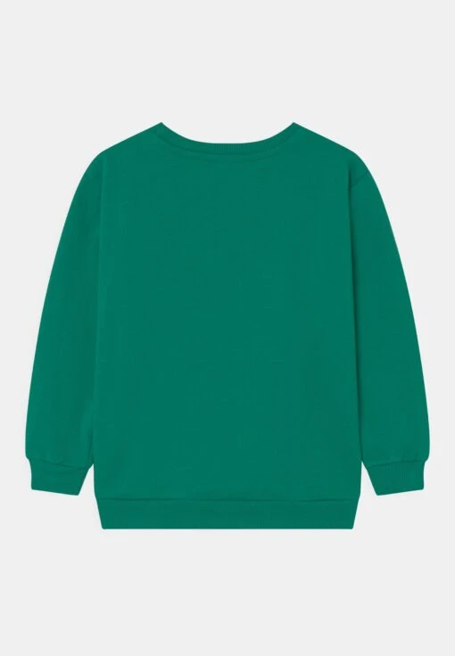 Kaotiko Crew Basic Unisex - Sudadera - Green -Kaotiko Tienda d4288fb2f3b146f4b6b4547c803c2327 scaled